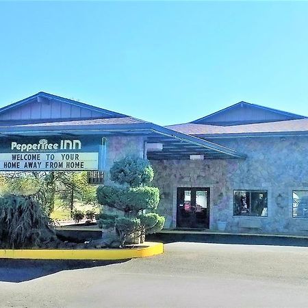 胡椒树酒店 比弗顿 外观 照片