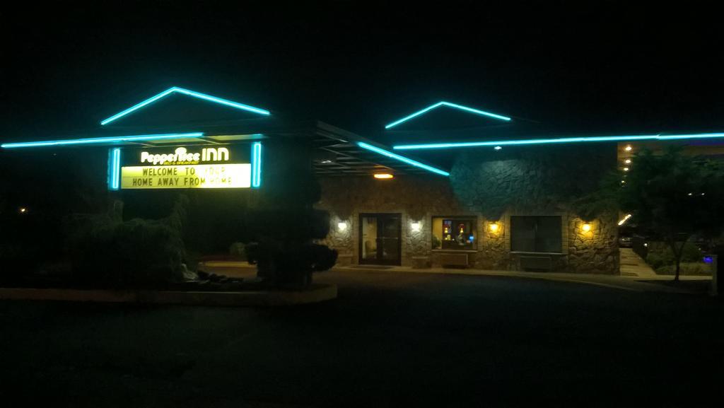 胡椒树酒店 比弗顿 外观 照片