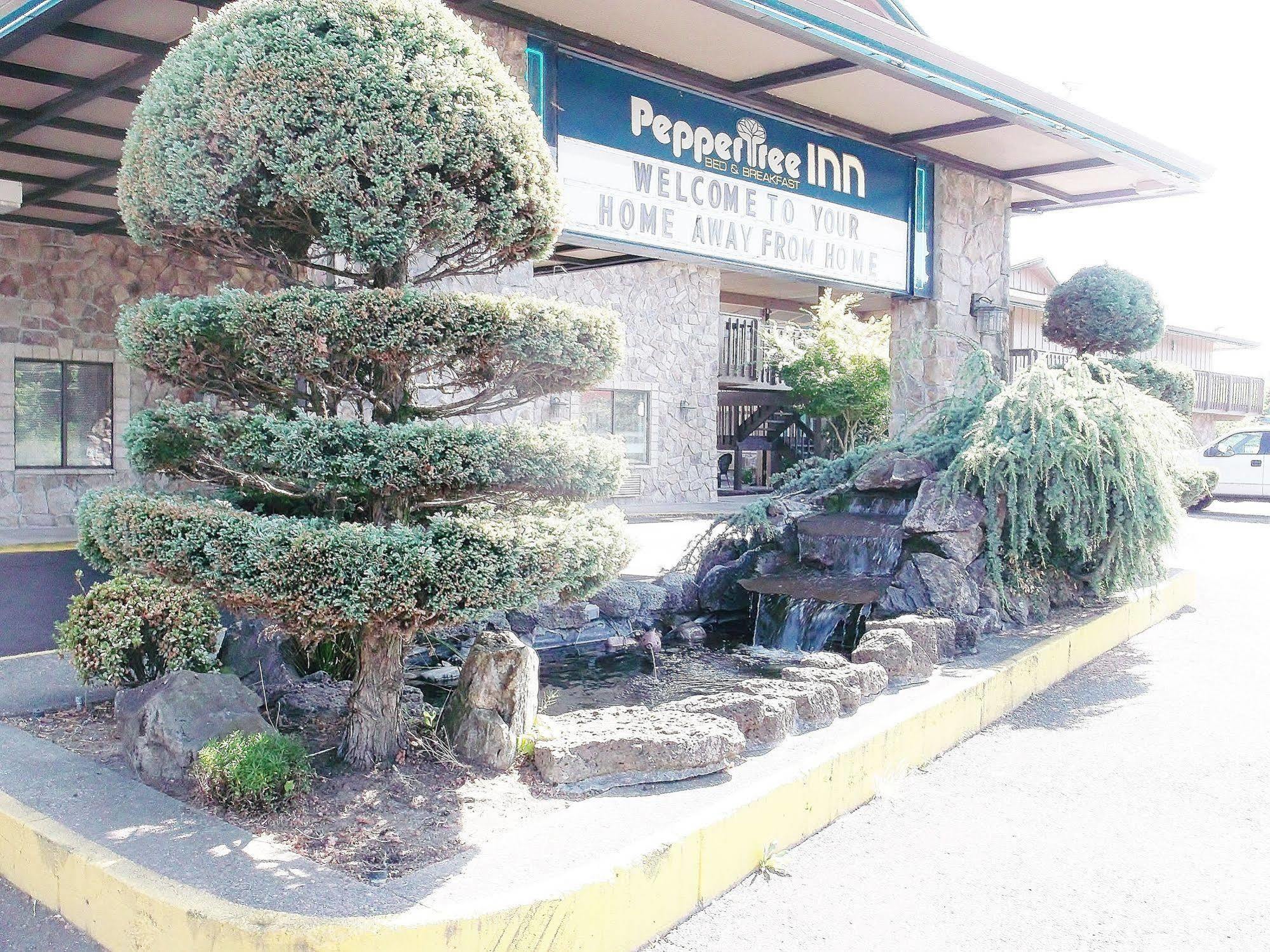胡椒树酒店 比弗顿 外观 照片